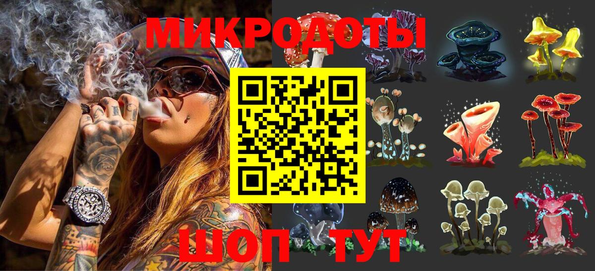 Ростов-на-Дону  Галлюциногенные грибы Psilocybine cubensis  Вход с VPN 